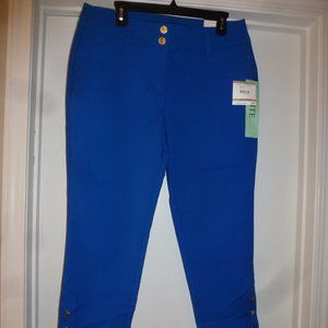 Anne Klein Slim Crop Petite Blue Woven pants ( waist is17.5")